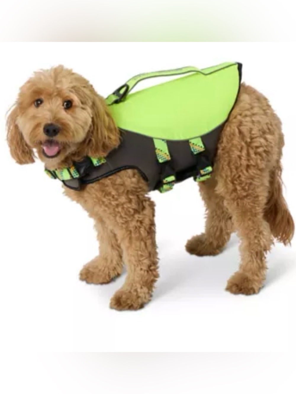 Arcadia Neon Green Dog Life Jacket with Black Trim